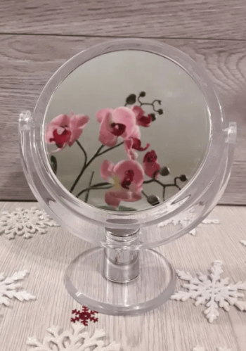 Ив роше РАСПРОДАЖА / Ів Роше РОЗПРОДАЖ / Натюрель Эвиденс Хоггар Амбра