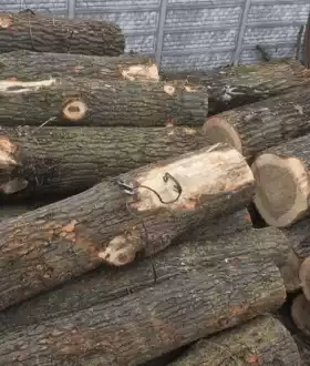 Дрова от 500грн Твердых пород