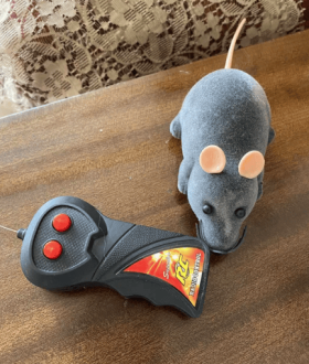 Мышь для кота на радиоуправлении