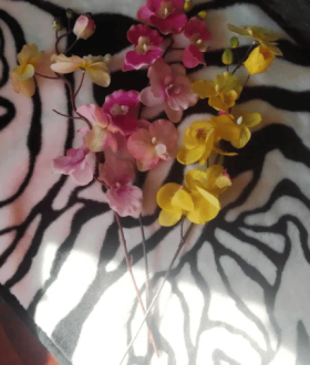 Продаются искусственные Орхидеи