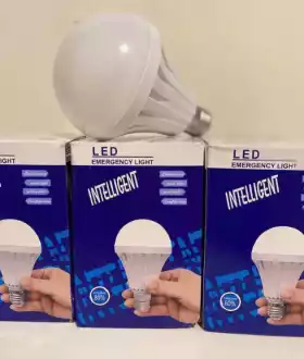 Аккумуляторная лампочка. Аварийное освещение