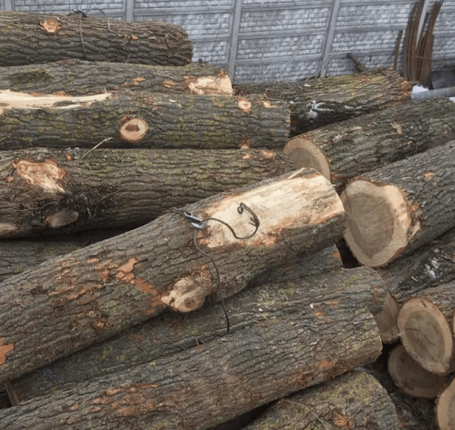 Снимок экрана 2022-10-22 110143