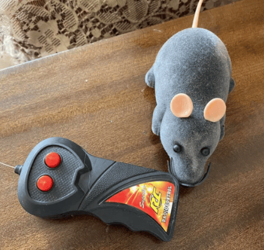 Снимок экрана 2022-11-01 104540