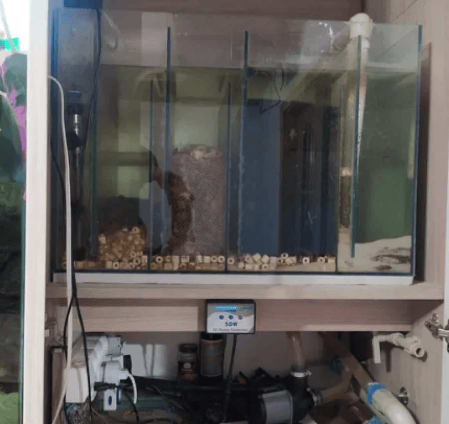 Акваріум з рибками і сампом 3