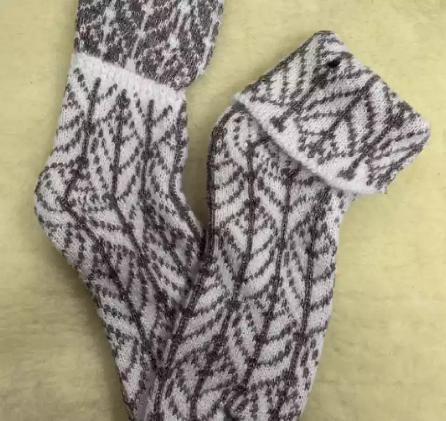 Шкарпетки носки