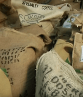 SPECIALITY кава в зернах Реки Киндио Колумбія! 100% ЭКСКЛЮЗИВ!