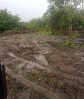 Оренда міні-екскаватора.Копання траншей.