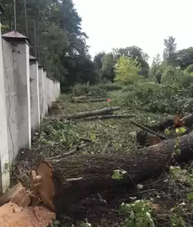 Зрізання,зруб,обрізка дерев.Покіс трави.Чистка ділянок.