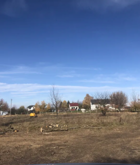 Розчищення ділянок.Зрізання дерев. Міні-екскаватор.