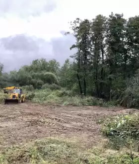 Розчищення ділянок.Зрізання дерев.Покіс трави.