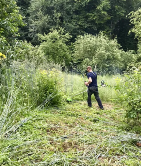 Чистка ділянок, зрізання дерев, вивіз сміття.