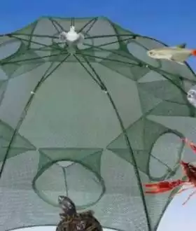 Раколовка зонт на 6 и 8 входов