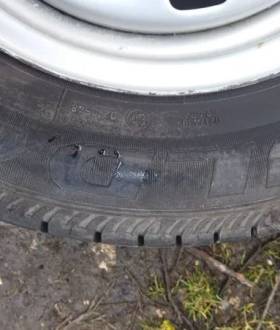 Колеса резина шкода феліція фаворит