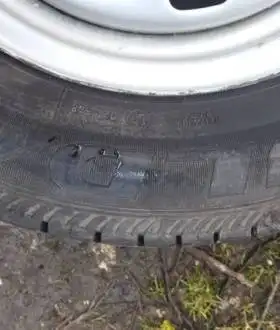 Колеса резина шкода феліція фаворит