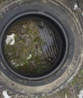 Резина, шини на доїзд