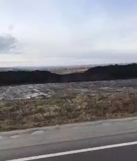 Чорнозем, торф, глина, пісок, щебень.