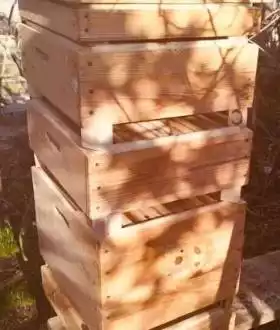 Продам прекрасні вулики ДАДАН