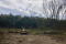 Оренда трактора Jcb 3х. Екскаватор.Планування.Корчування 4