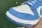 Кроссовки Nike Dunk Low Coast Blue White Найки Данки голубые белые 8