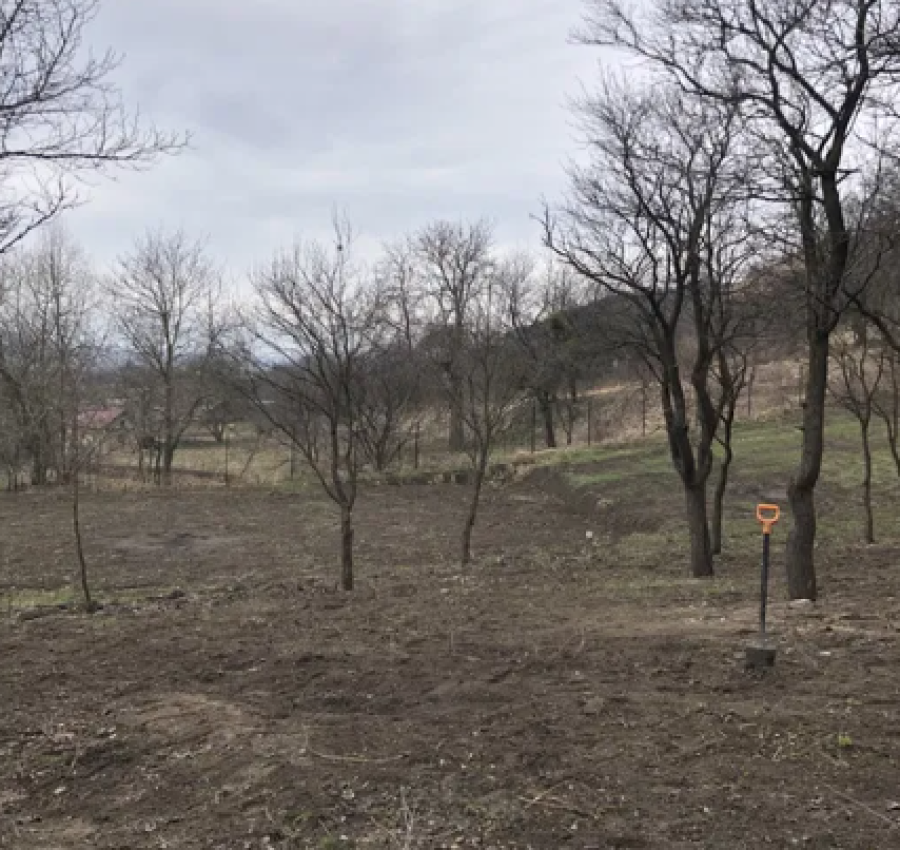 Корчування пнів, розчищення ділянок. Зрізання дерев.Копання траншей 4