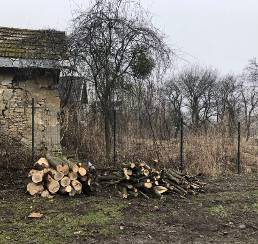 Корчування пнів, розчищення ділянок. Зрізання дерев.Копання траншей 5