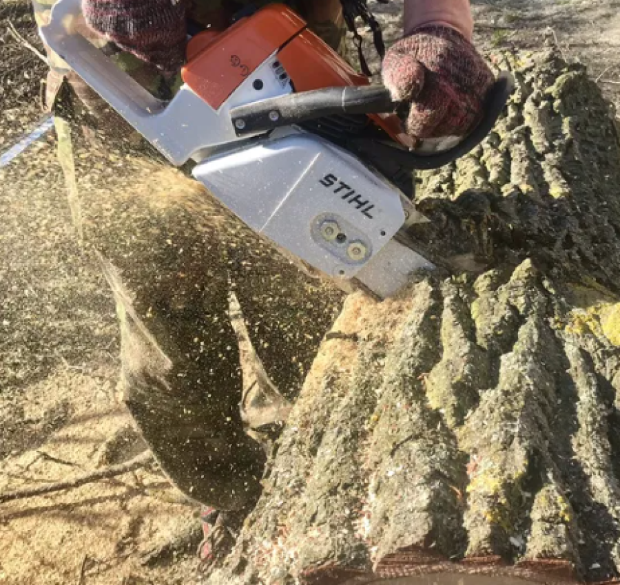 Зрізання,зруб,обрізка дерев.Покіс трави.Чистка ділянок