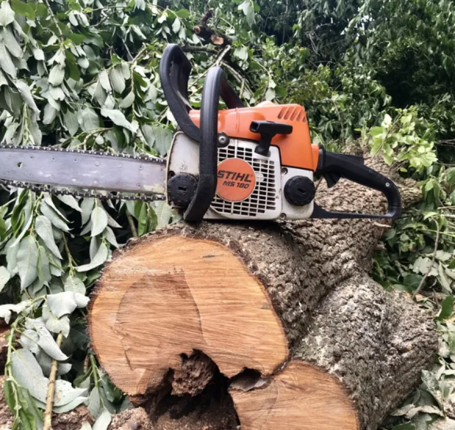 Зрізання дерев,чистка ділянок,покіс,косіння трави,бур‘янів 2