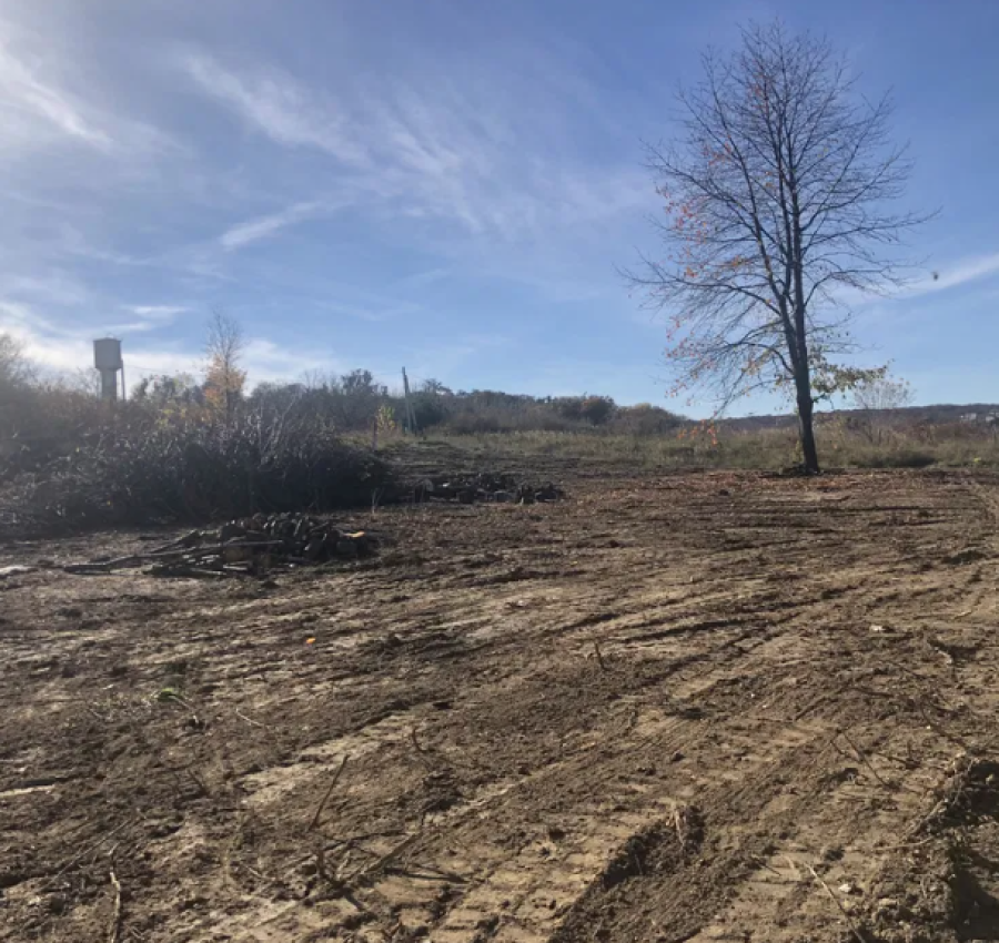 Розчищення ділянок.Зрізання дерев. Міні-екскаватор