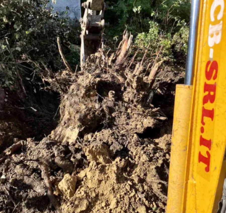 Розчищення ділянок.Зрізання дерев. Міні-екскаватор 3