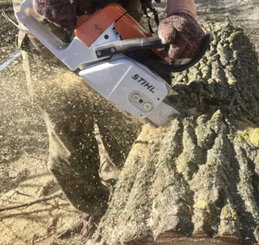 Розчищення ділянок.Зрізання дерев.Покіс трави