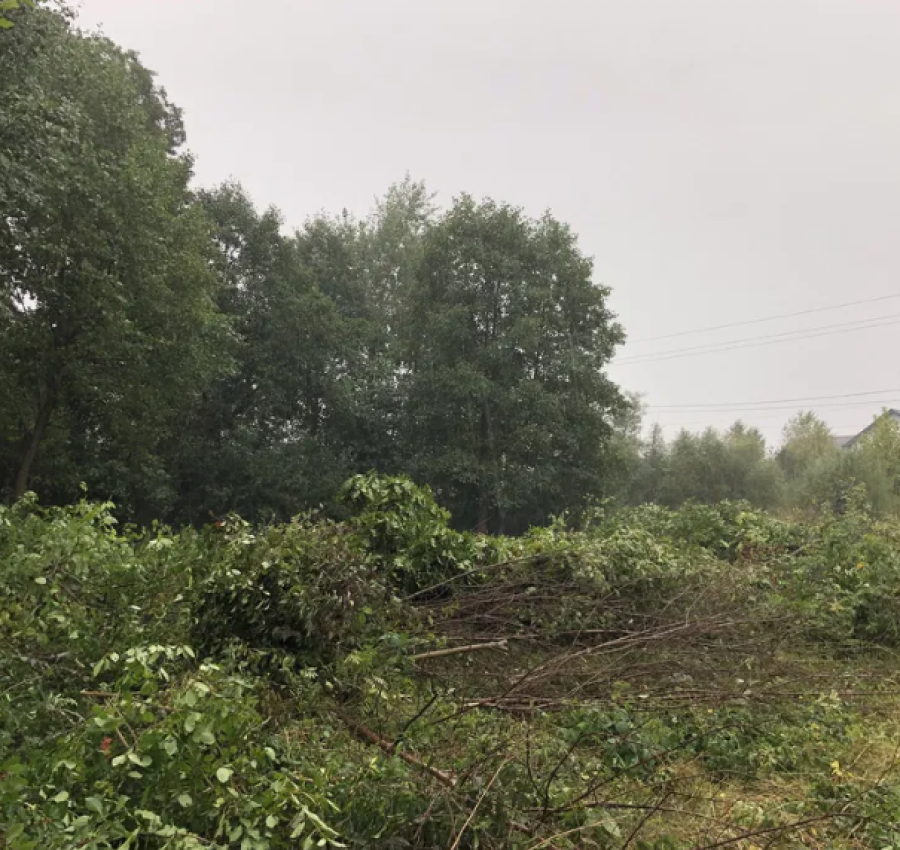 Розчищення ділянок.Зрізання дерев.Покіс трави 3