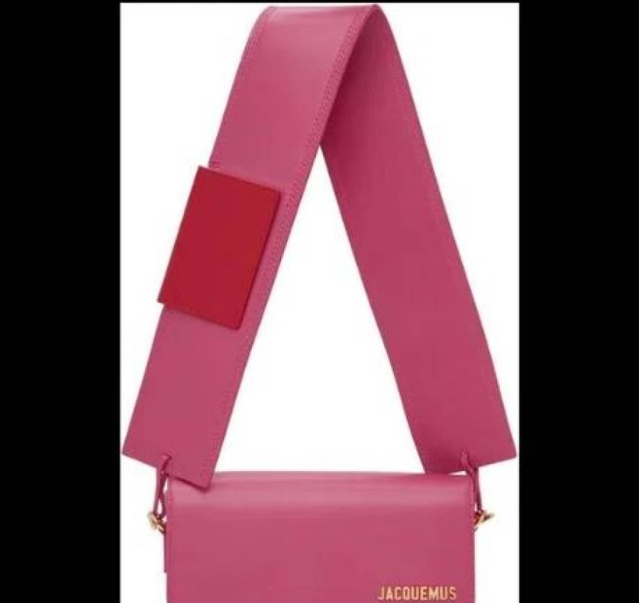 Сумка jacquemus le carinu 3