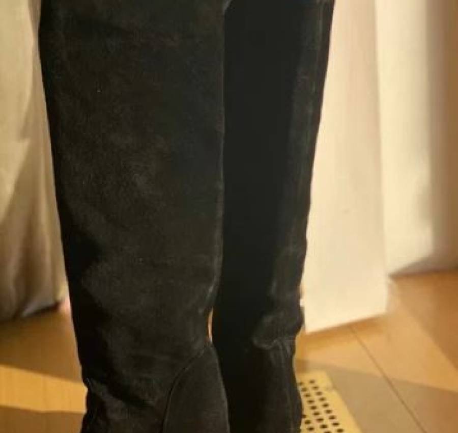 Замшевые сапоги Schutz