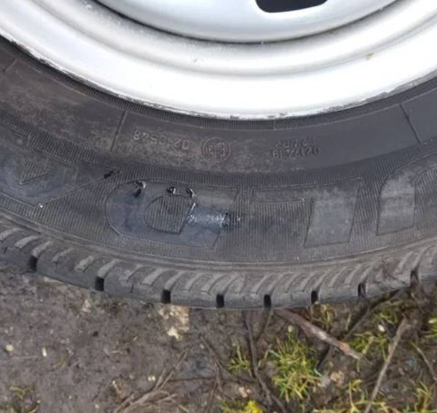 Колеса резина шкода феліція фаворит 2