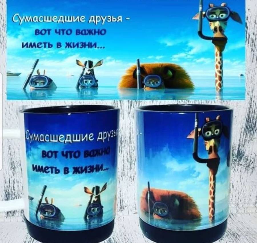 Печать на чашках хамелеонах 4