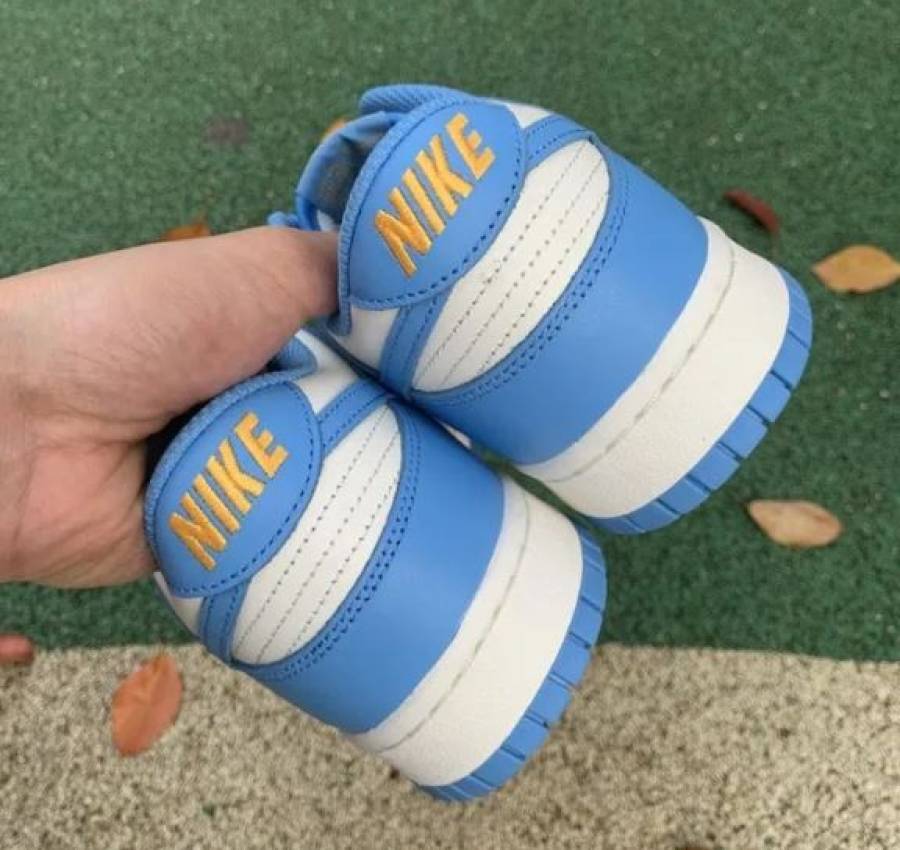 Кроссовки Nike Dunk Low Coast Blue White Найки Данки голубые белые 5