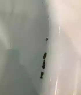 Ванна железная 170 75