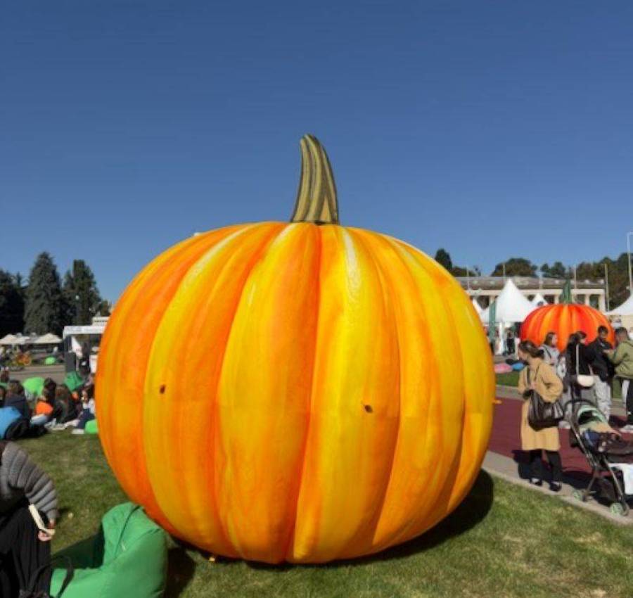 Dekoracii_ulic_naduvnye_11