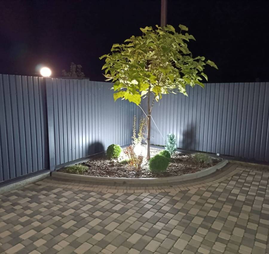 изображение_viber_2025-02-20_21-26-50-465